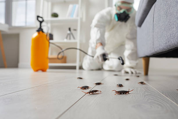 Post-Treatment Bed Bug Interceptor Monitoring in Wyndmoor